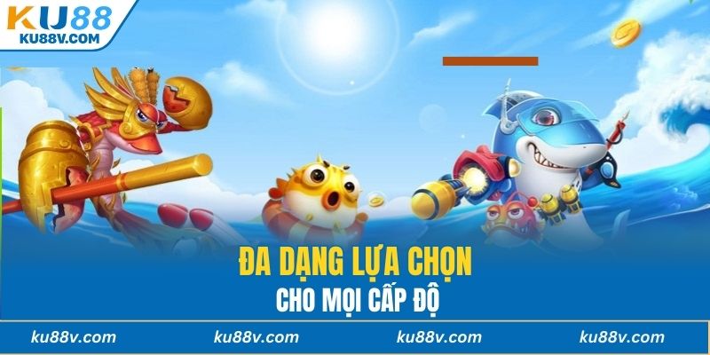 Đa dạng lựa chọn cho mọi cấp độ