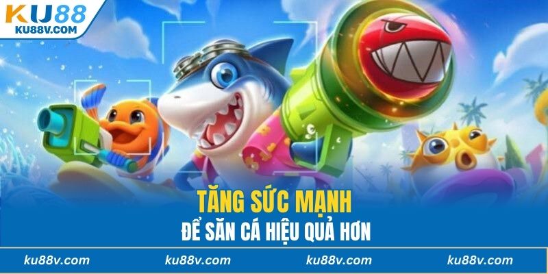 Tăng sức mạnh để săn cá hiệu quả hơn