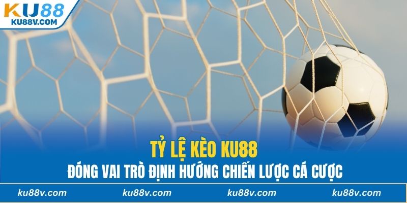 Tỷ lệ kèo KU88 đóng vai trò định hướng chiến lược cá cược